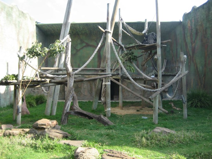 Chimp Enclosure