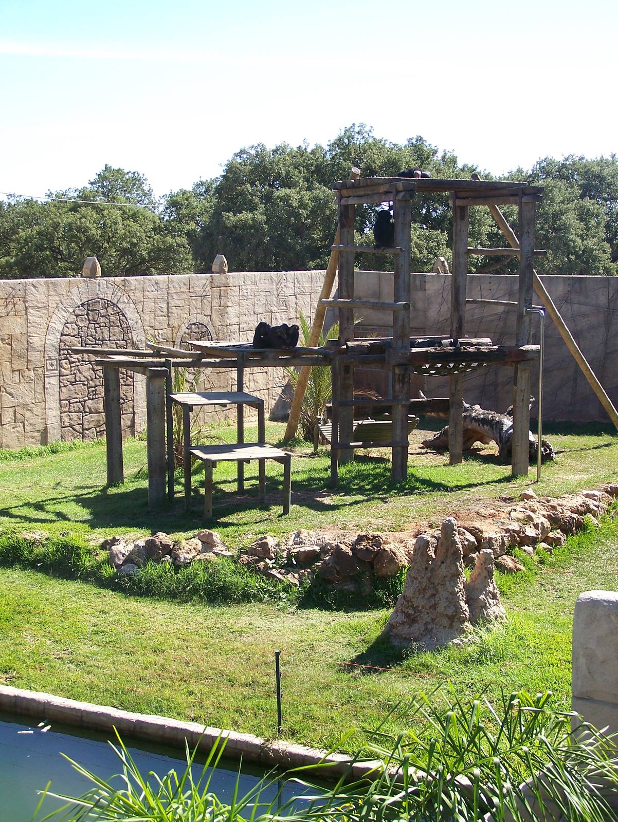 Chimp enclosure