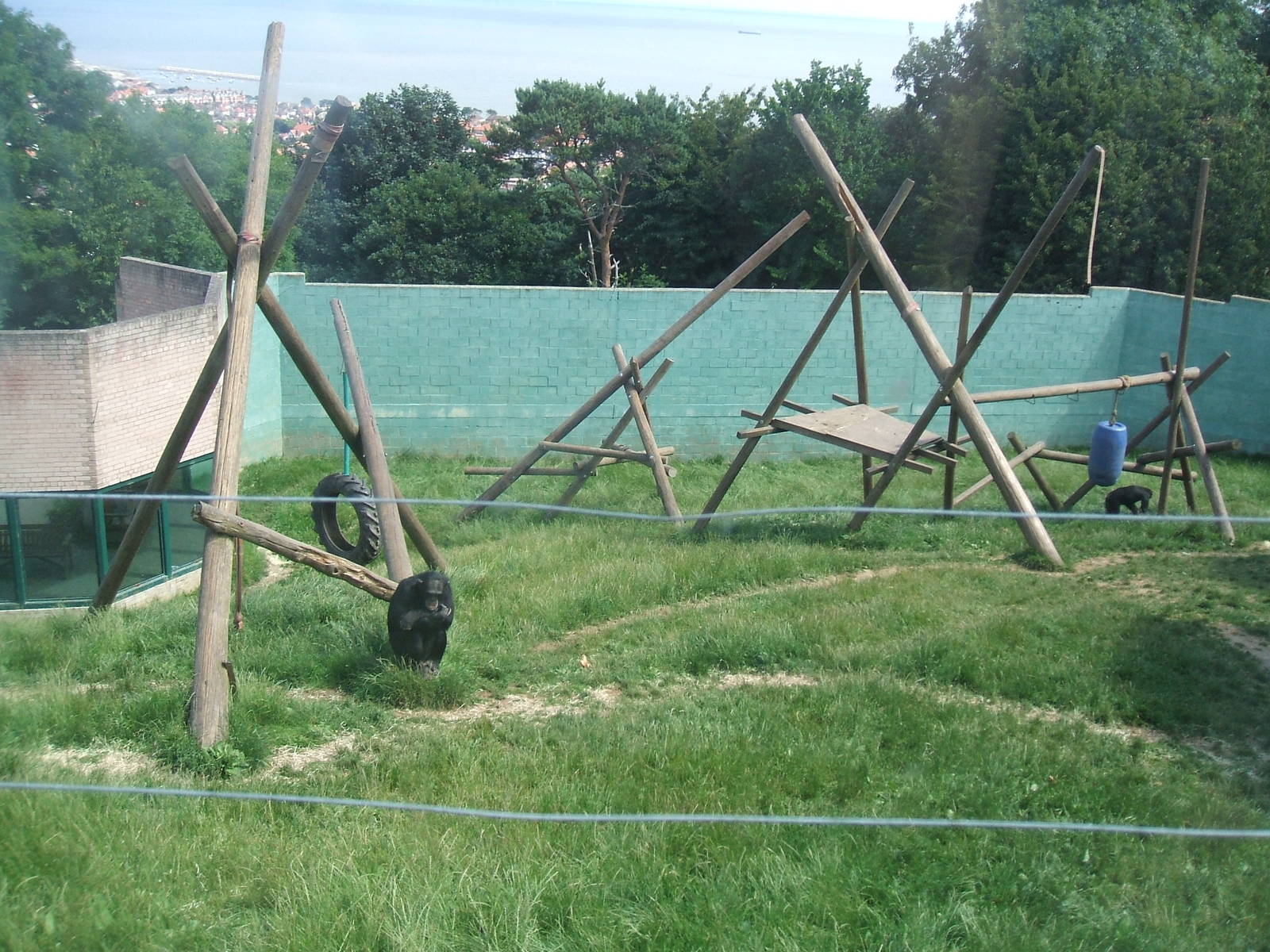 Chimp enclosure