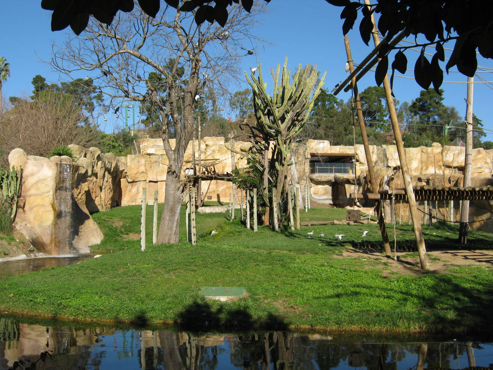 Chimp enclosure