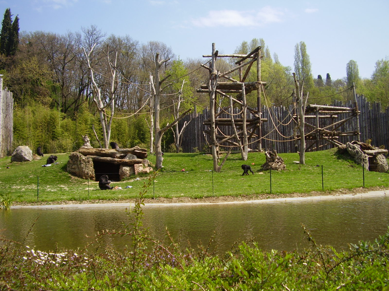 Chimp Exhibit - 2010