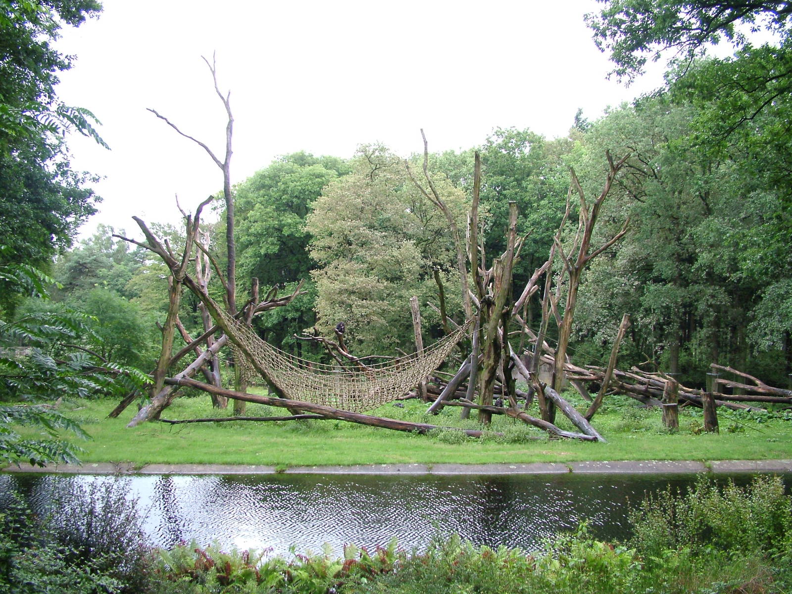 Chimp exhibit at Burgers Zoo Arnhem, 29/08/10