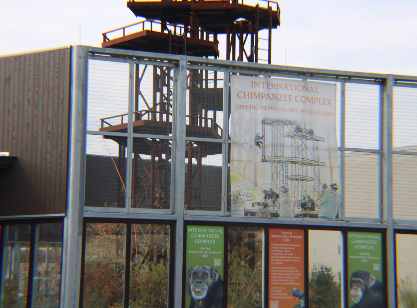 Chimp Exhibit Construction Update