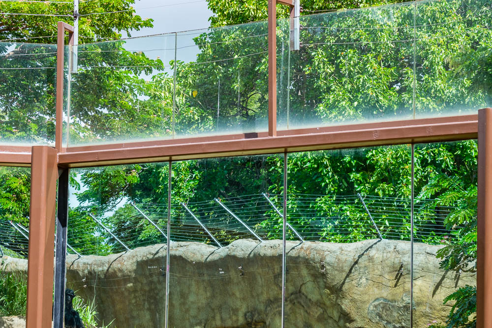 Chimp exhibit improvement after the May 2017 escape