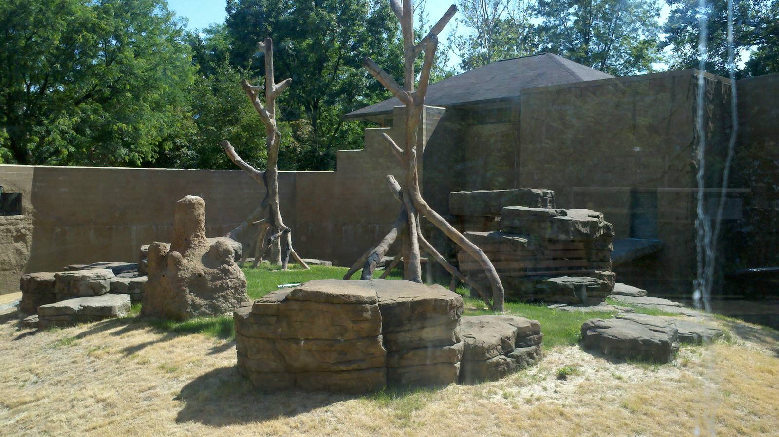 Chimp exhibit