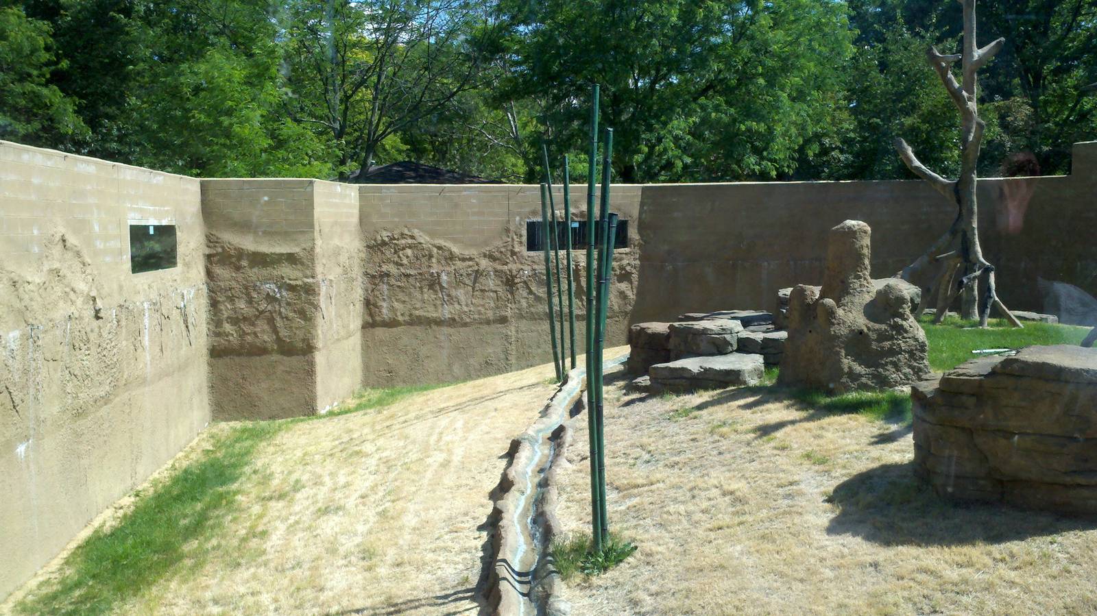 Chimp exhibit