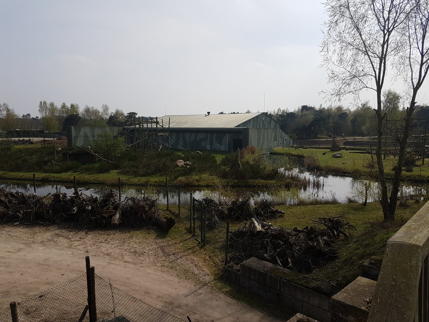 Chimp - Gorilla House and Chimp outdoor-enclosures