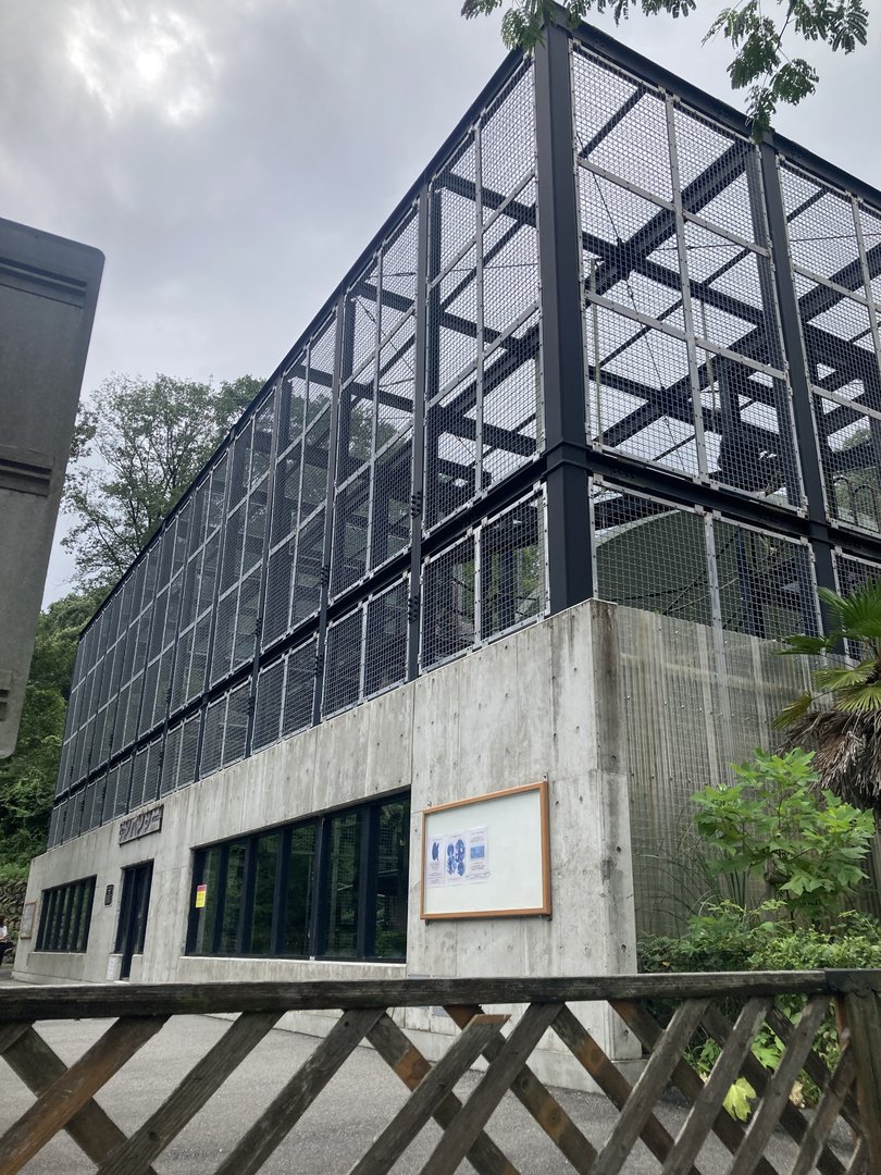 Chimp ‘gorillarium’ type exhibit