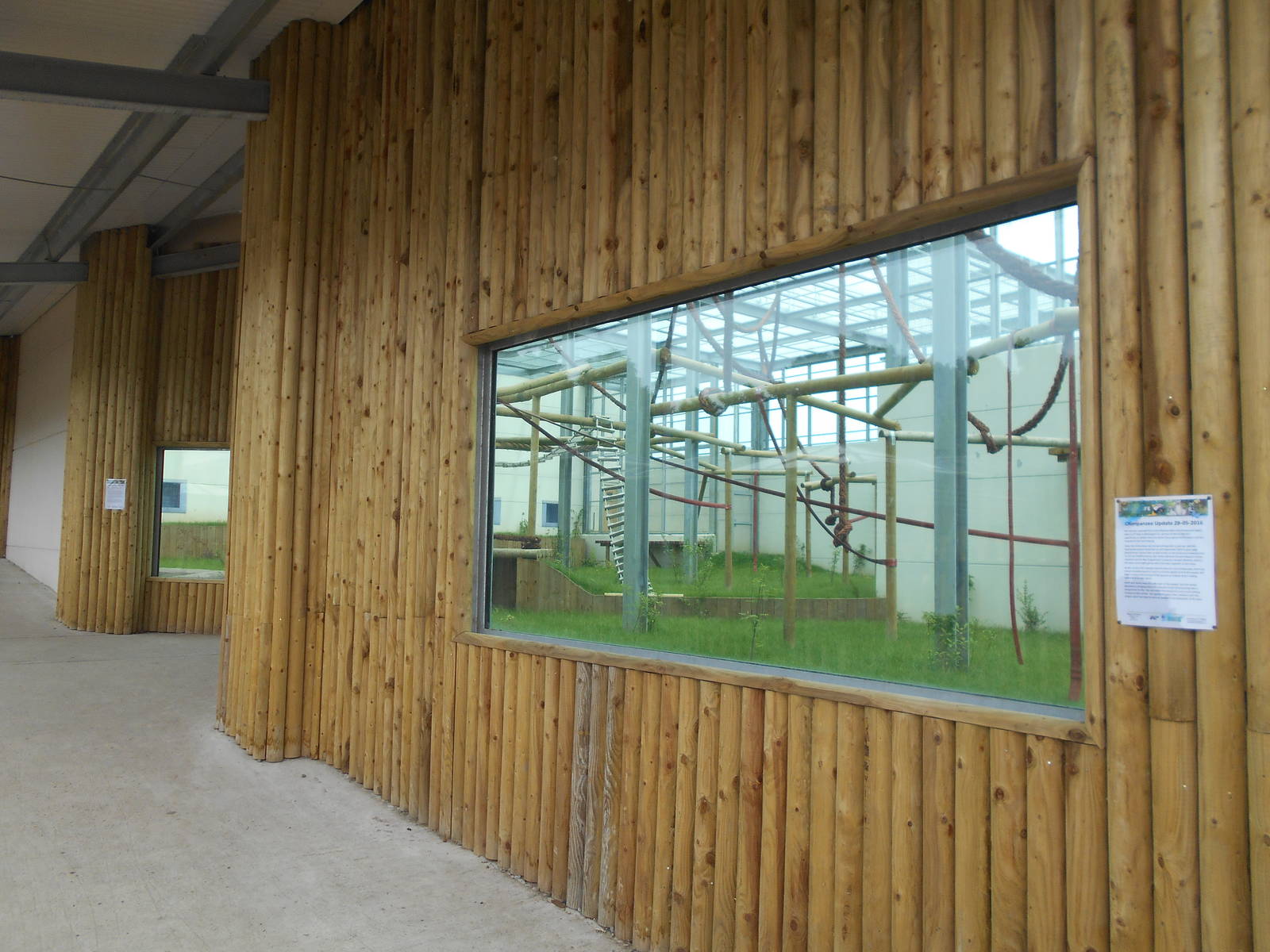 Chimp House - 10/06/2016