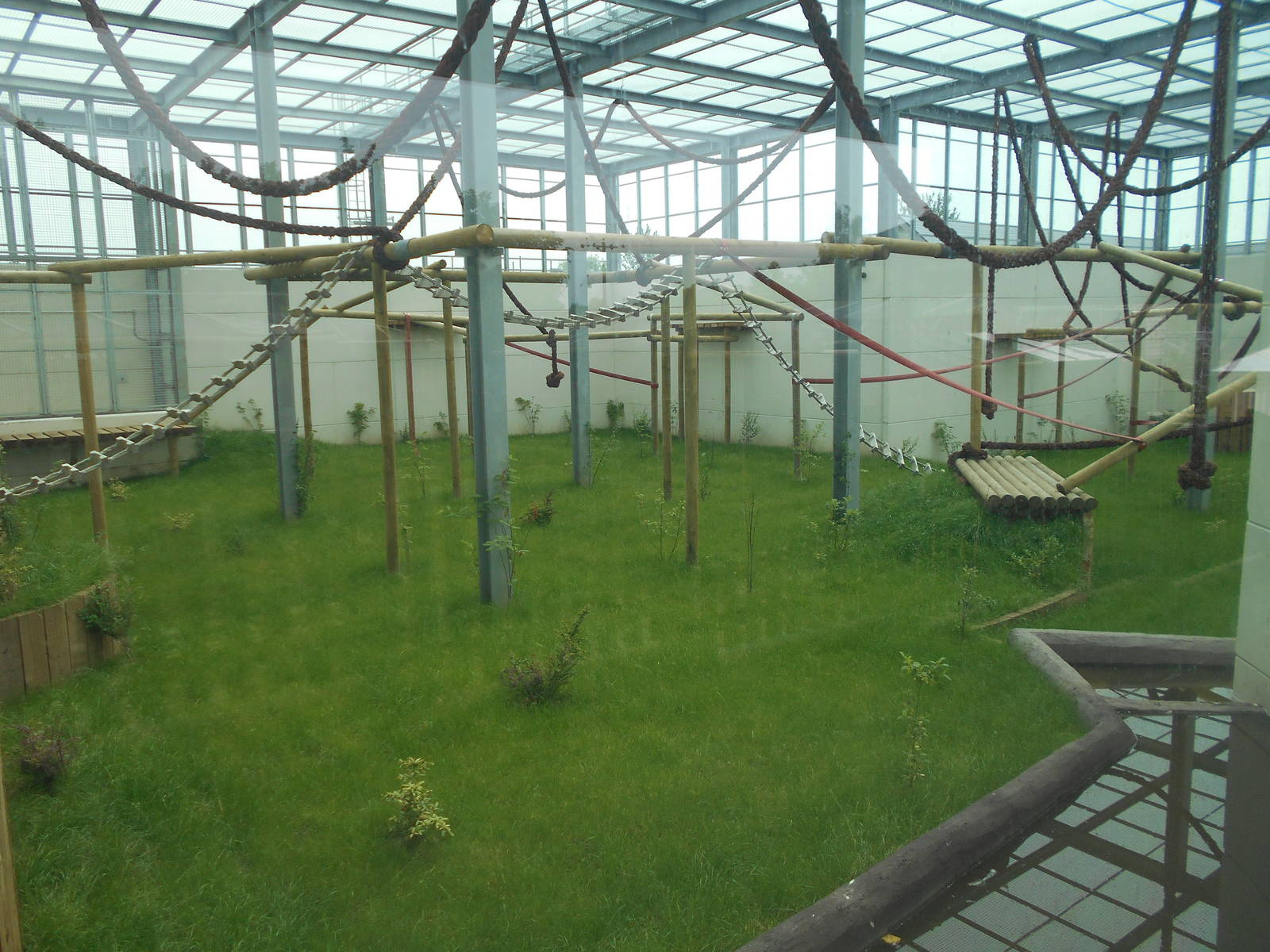 Chimp House - 10/06/2016