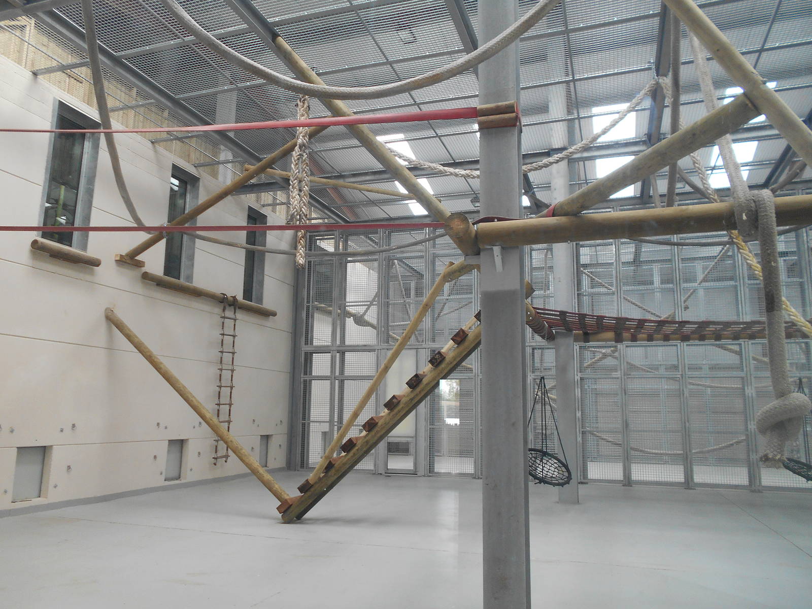 Chimp House - 10/06/2016