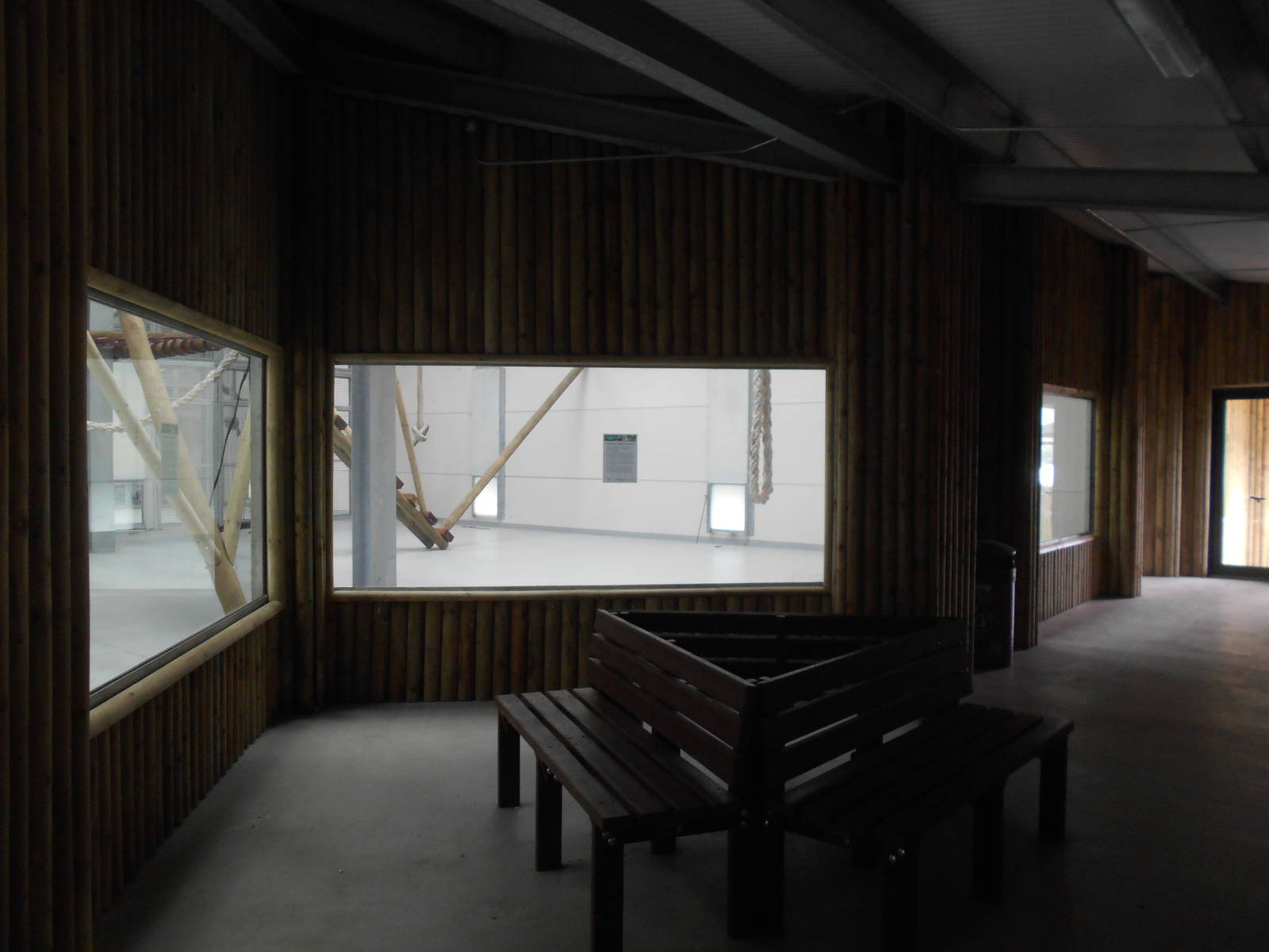 Chimp House - 10/06/2016