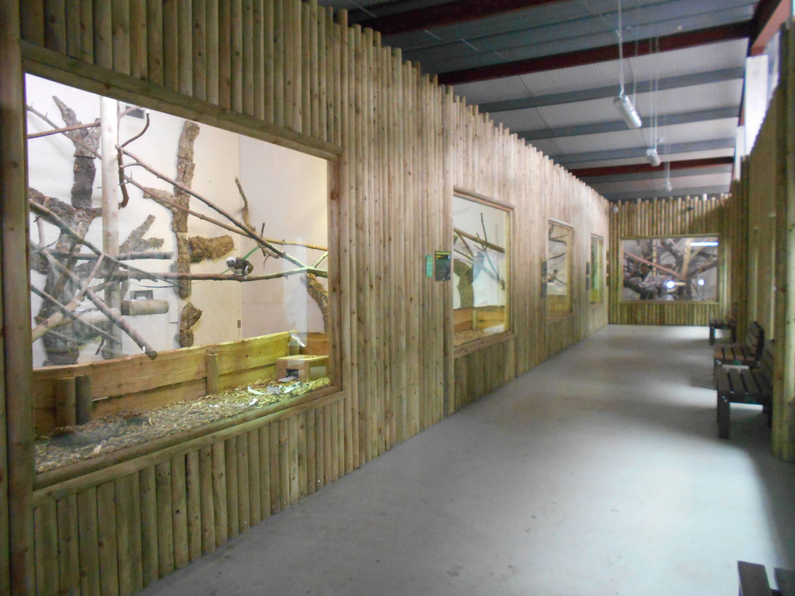 Chimp House - 10/06/2016