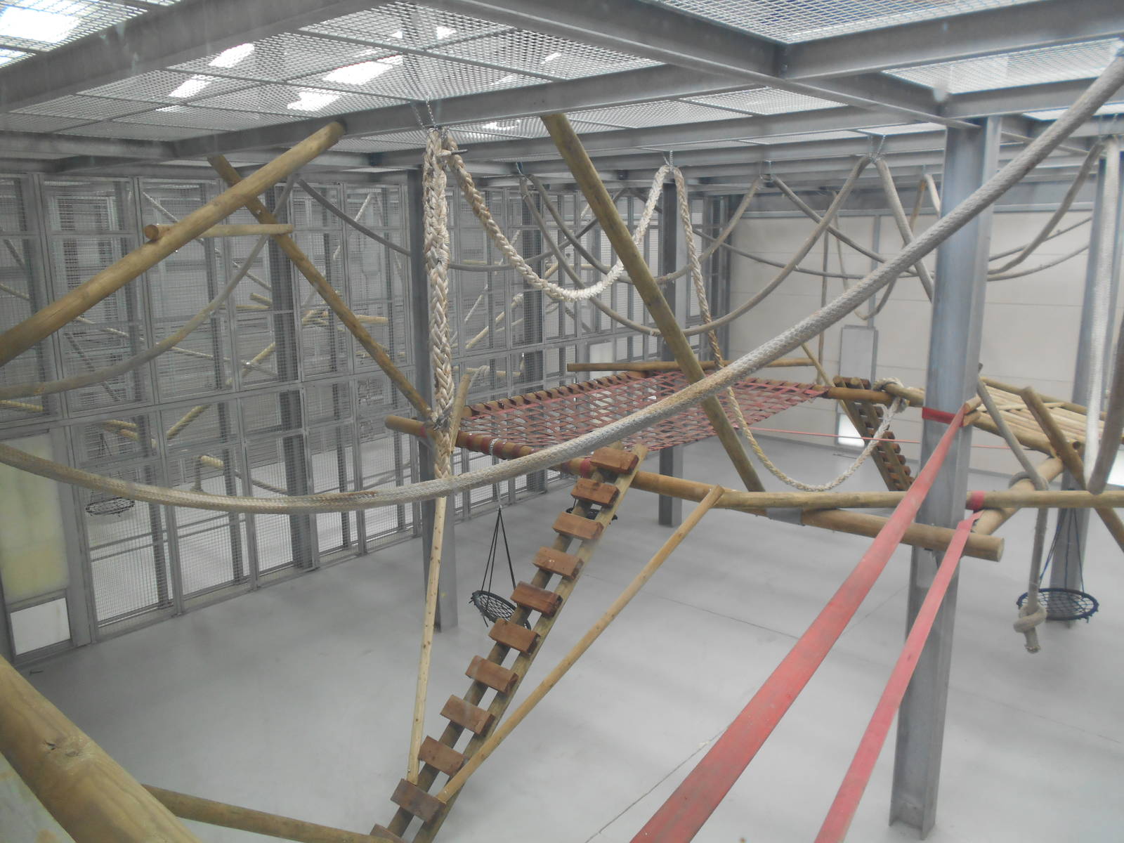 Chimp House - 10/06/2016