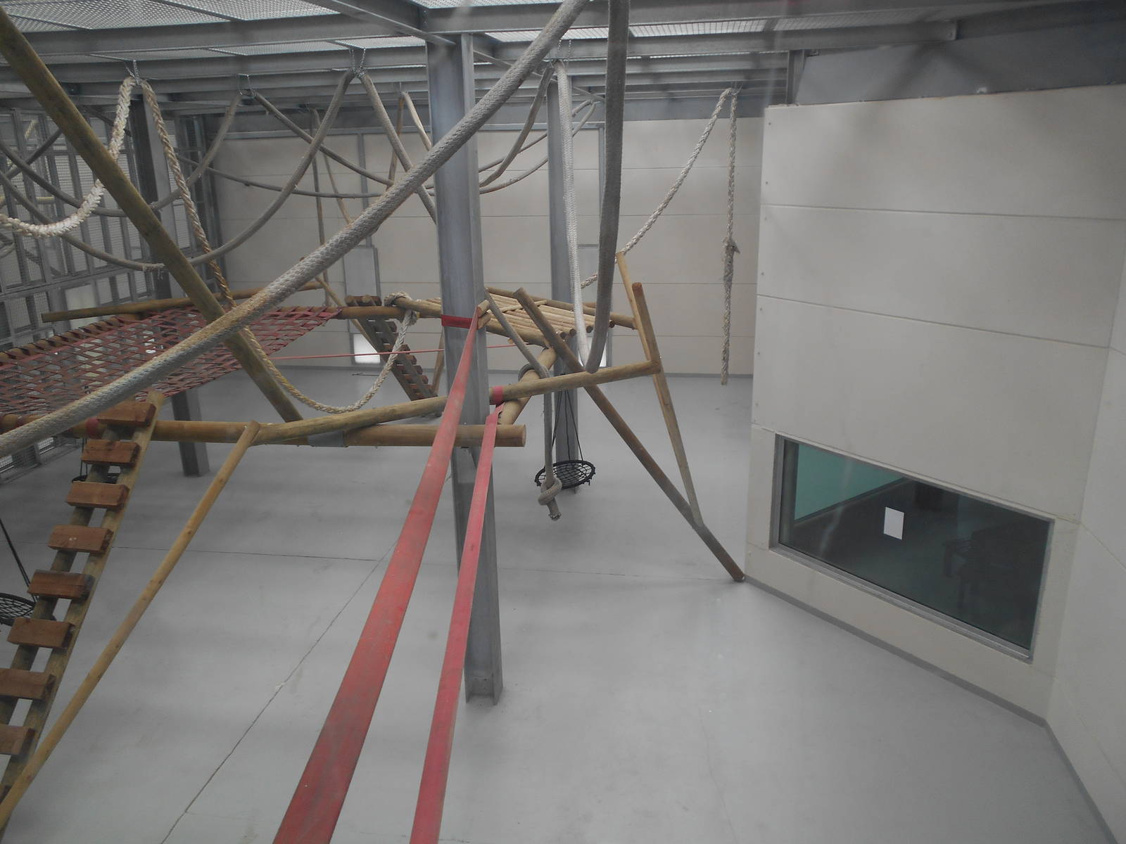 Chimp House - 10/06/2016