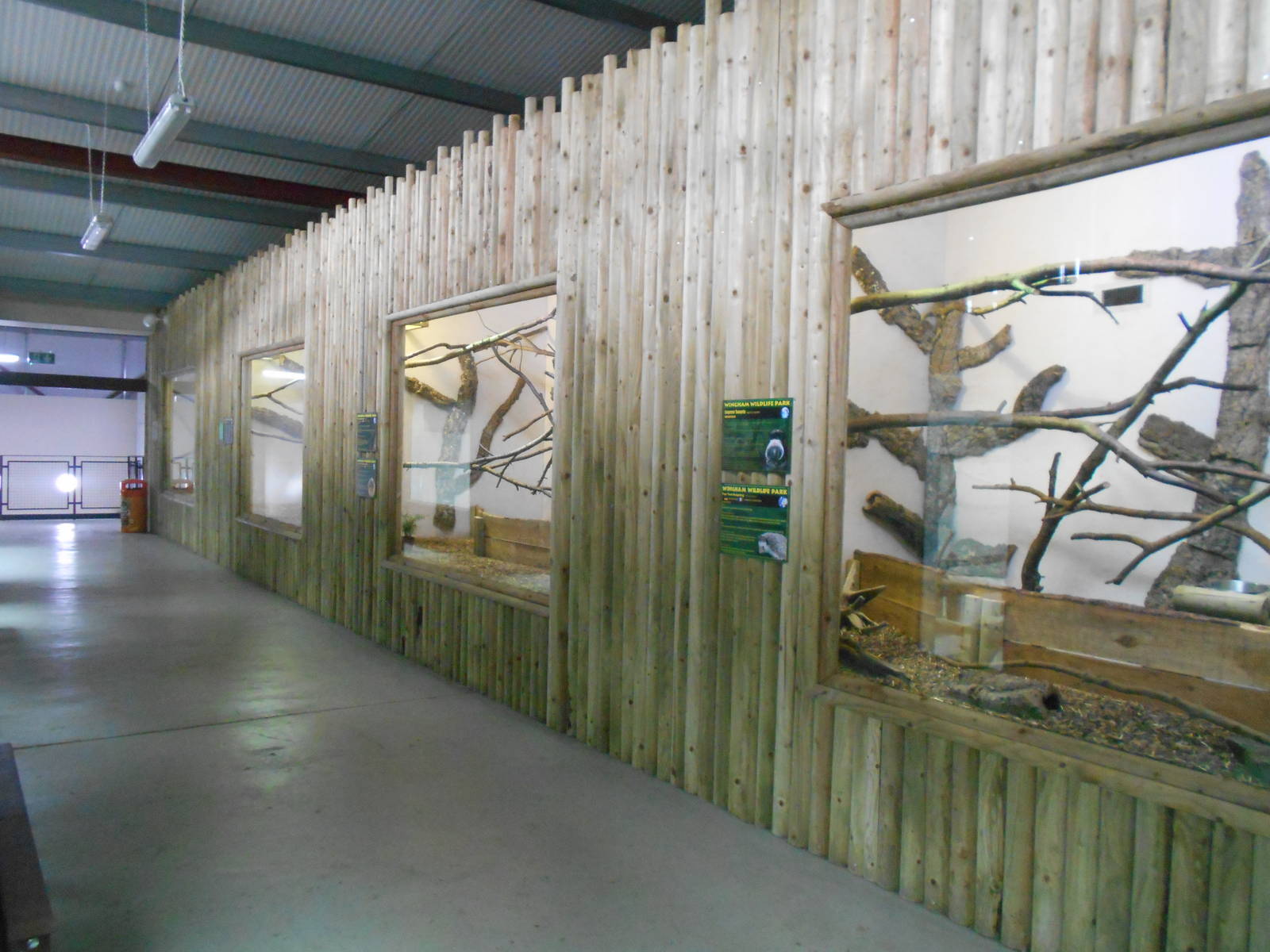 Chimp House - 10/06/2016