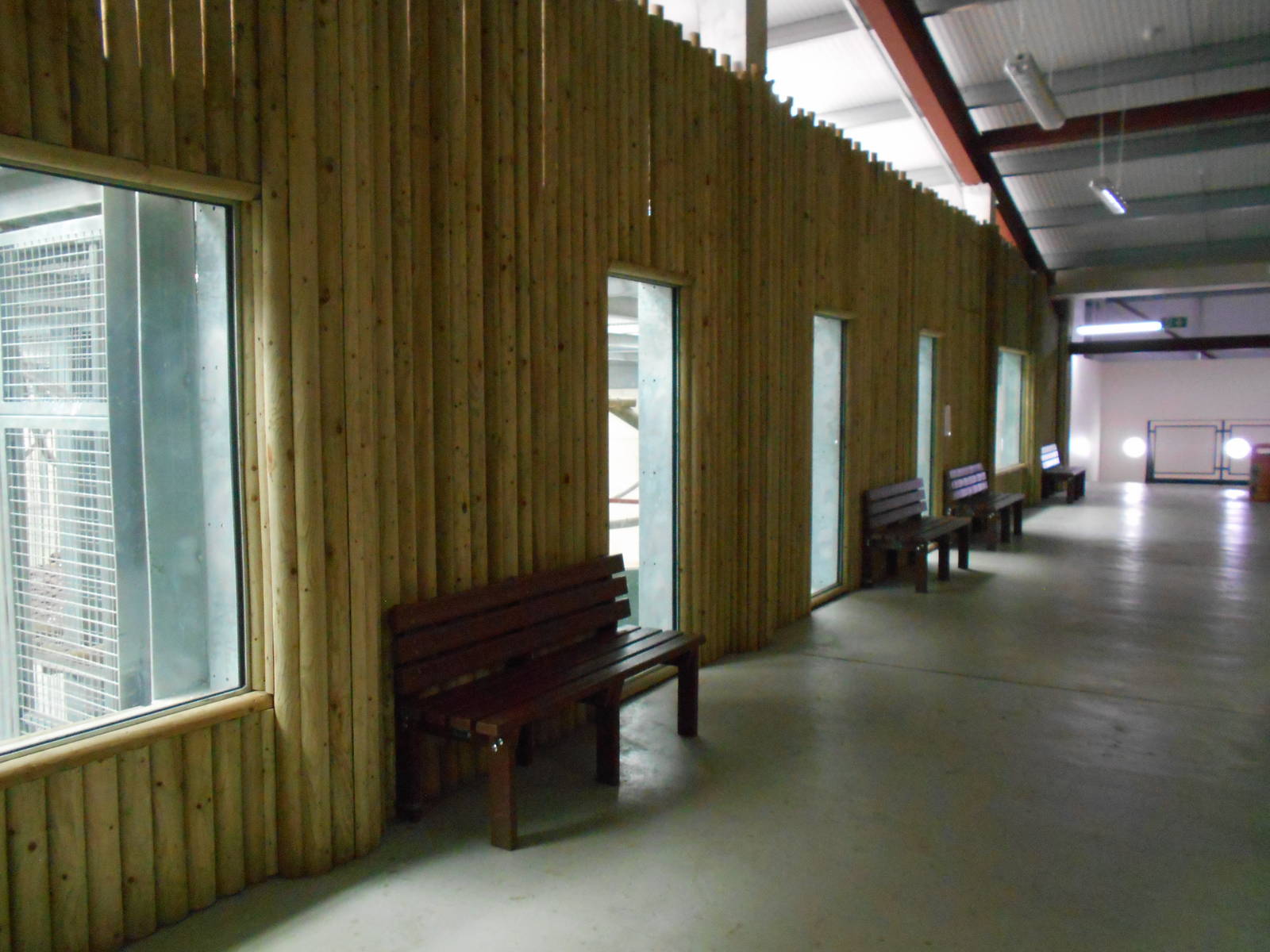 Chimp House - 10/06/2016