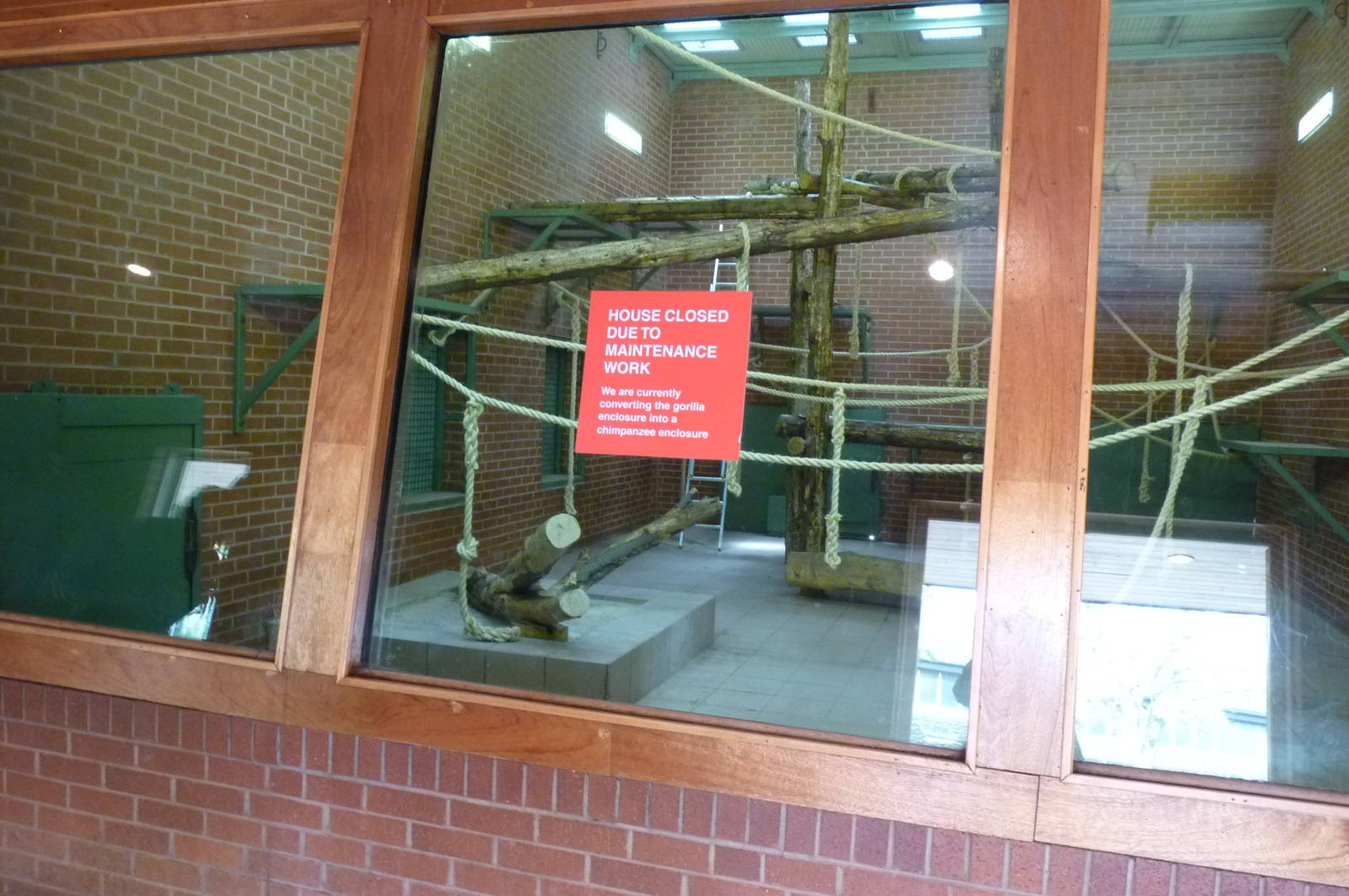 Chimp house, 17 October 2012