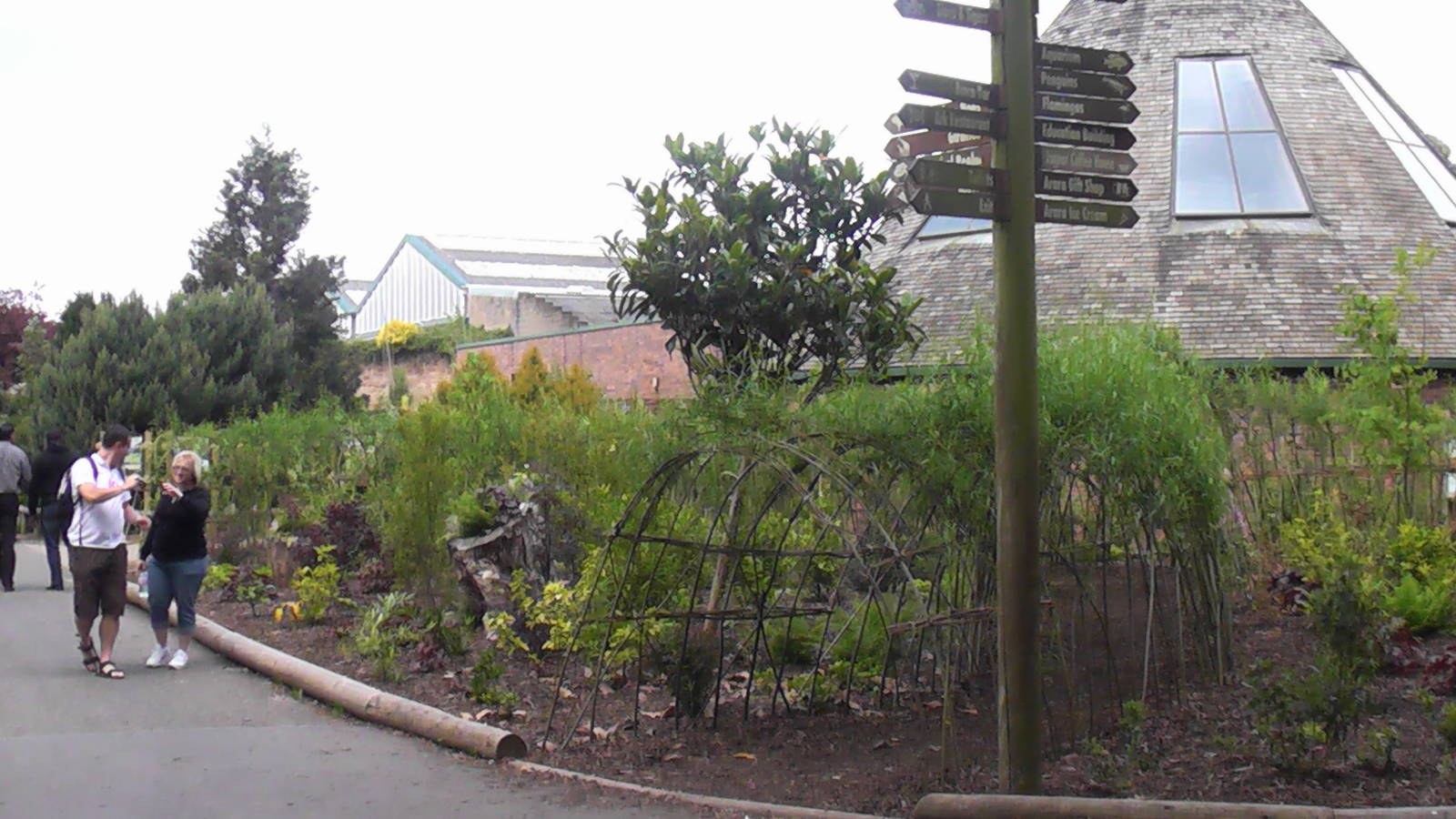 Chimp House and Garden 19.6.10