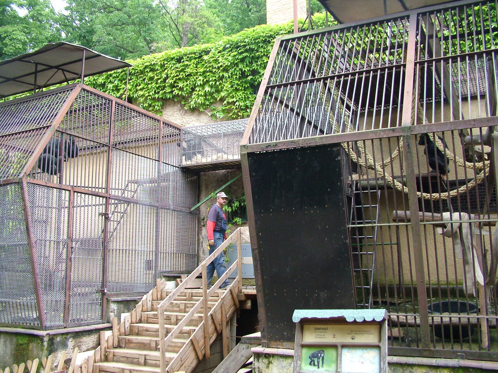 Chimp house renovation at Brno, 27/05/10