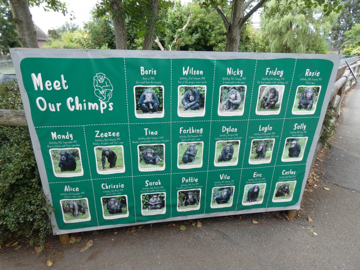 Chimp ID sign