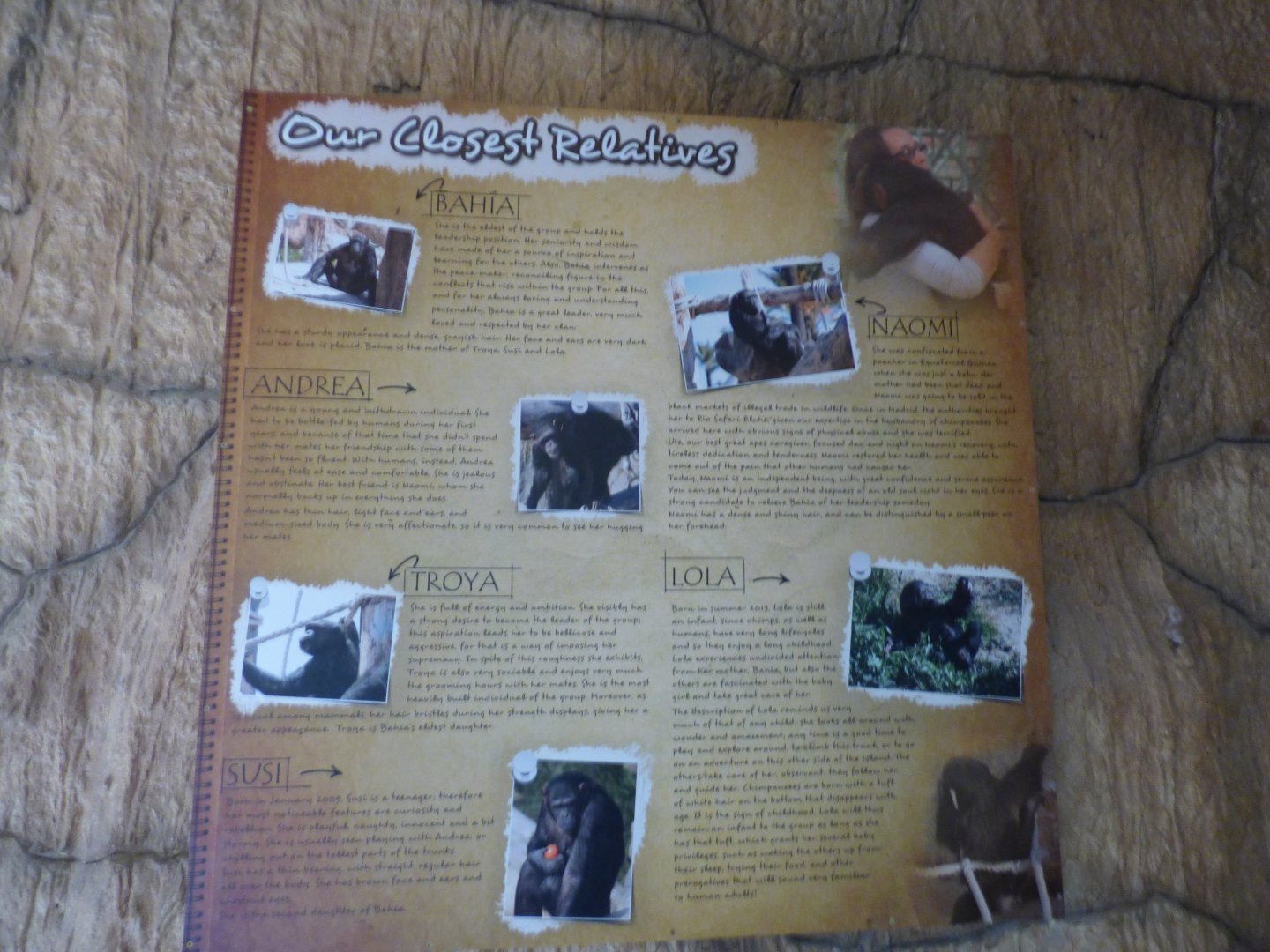 Chimp ID Signage