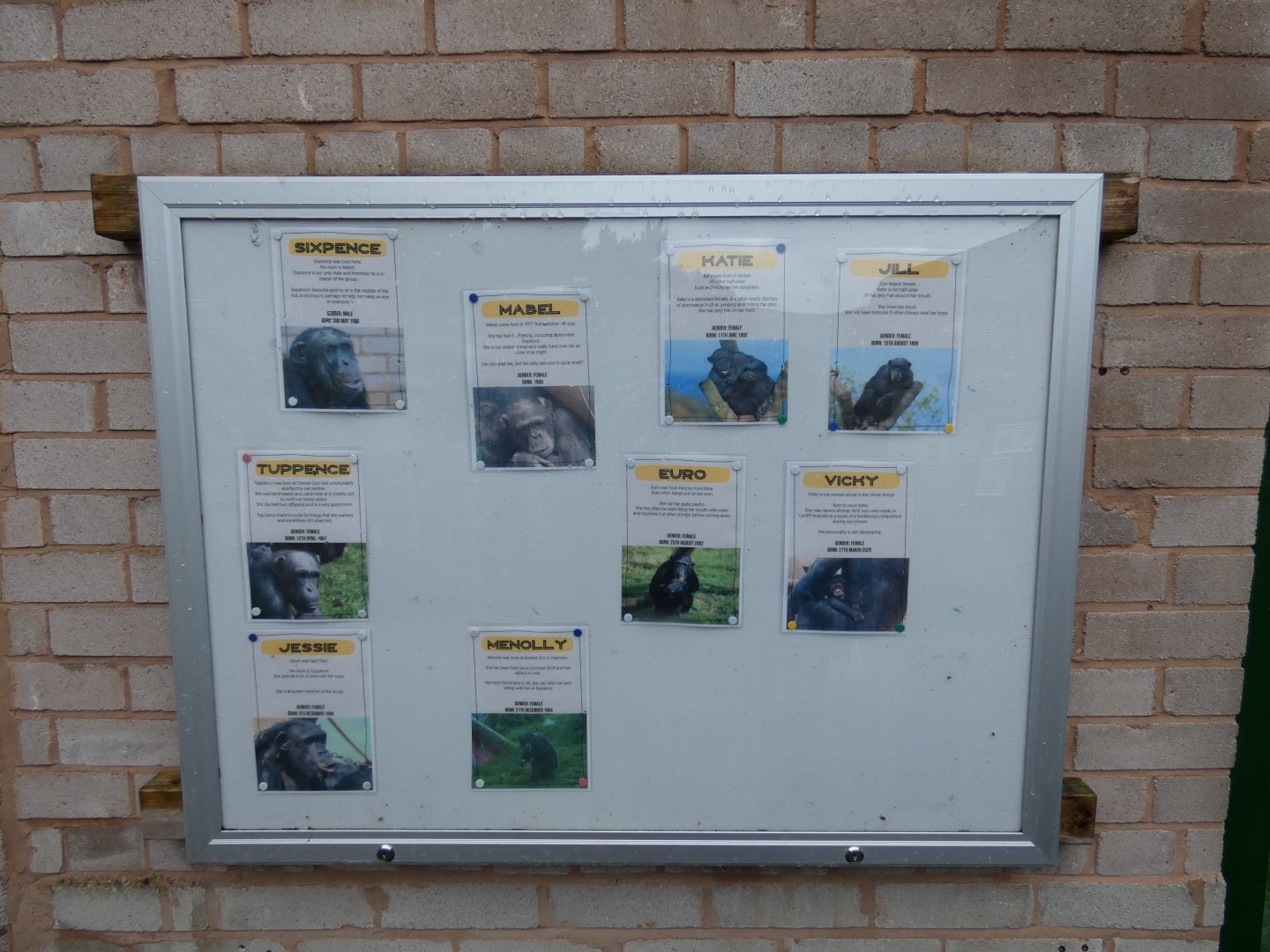Chimp ID Signage