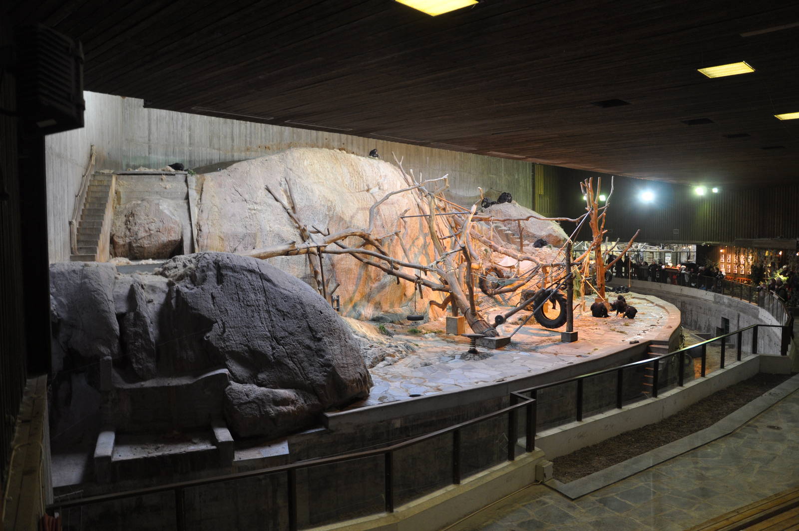 Chimp Indoor Enclosure