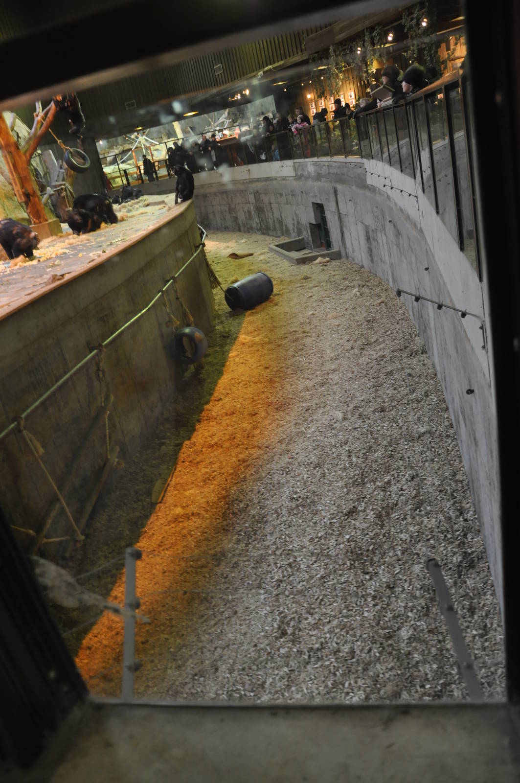 Chimp Indoor Enclosure