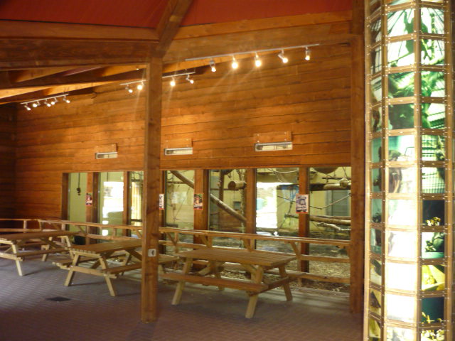 Chimp Indoor Exhibit