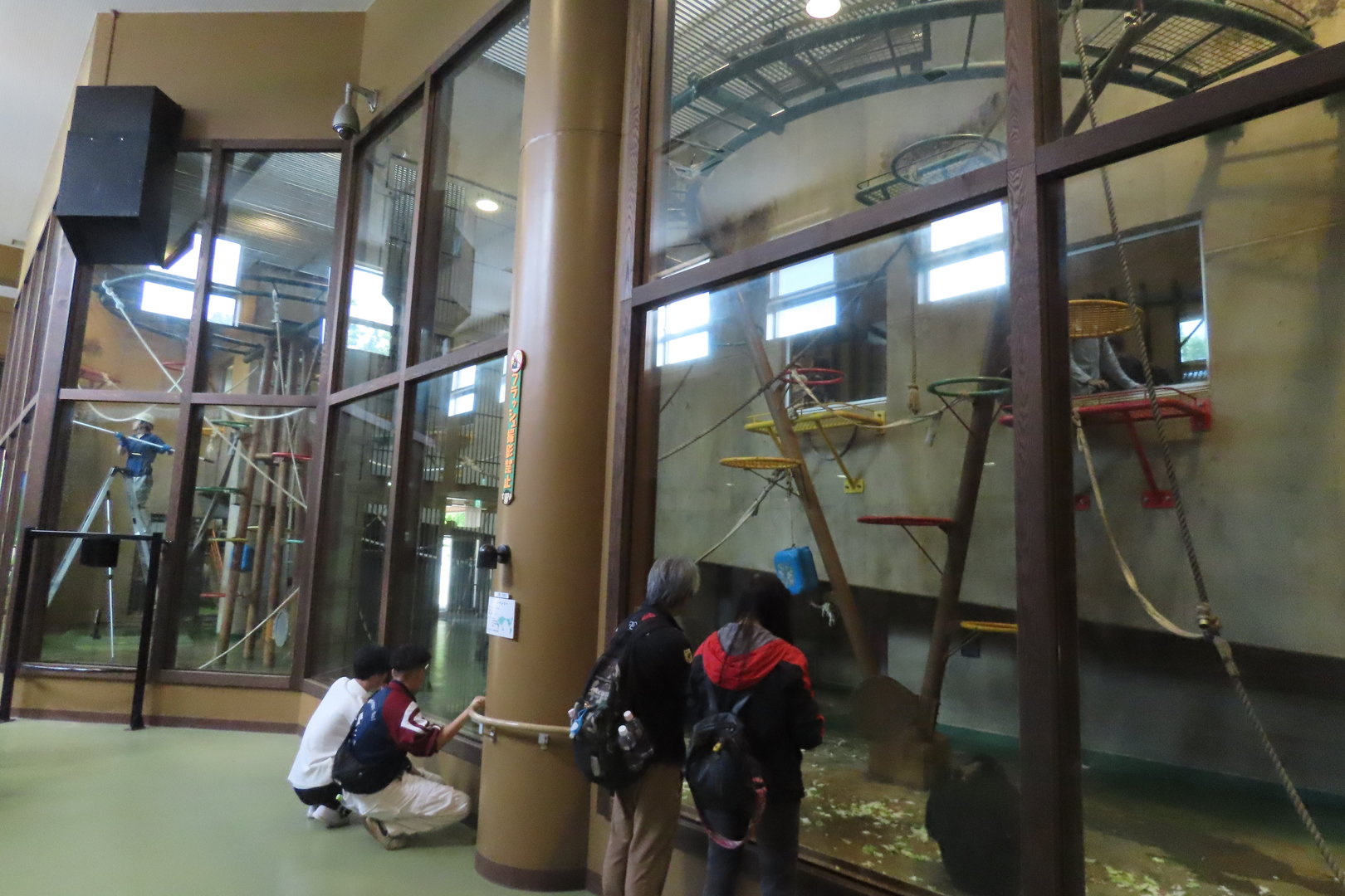 Chimp indoor exhibit