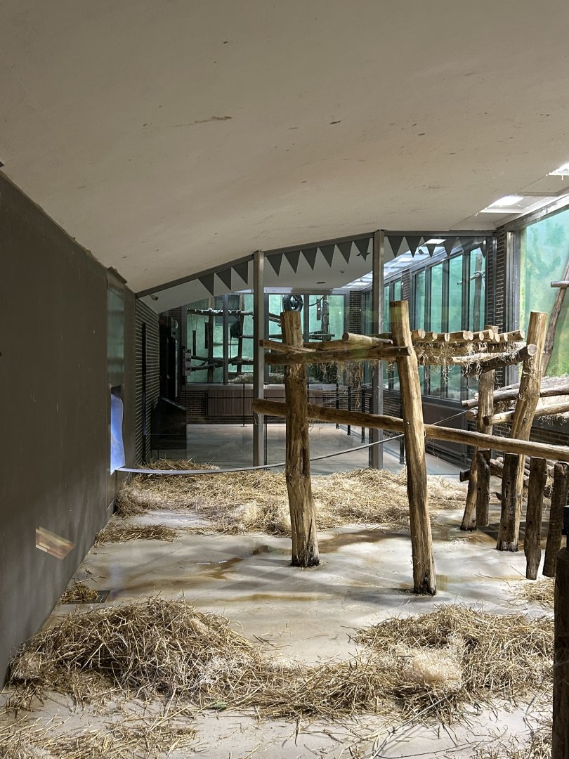 Chimp indoor exhibit