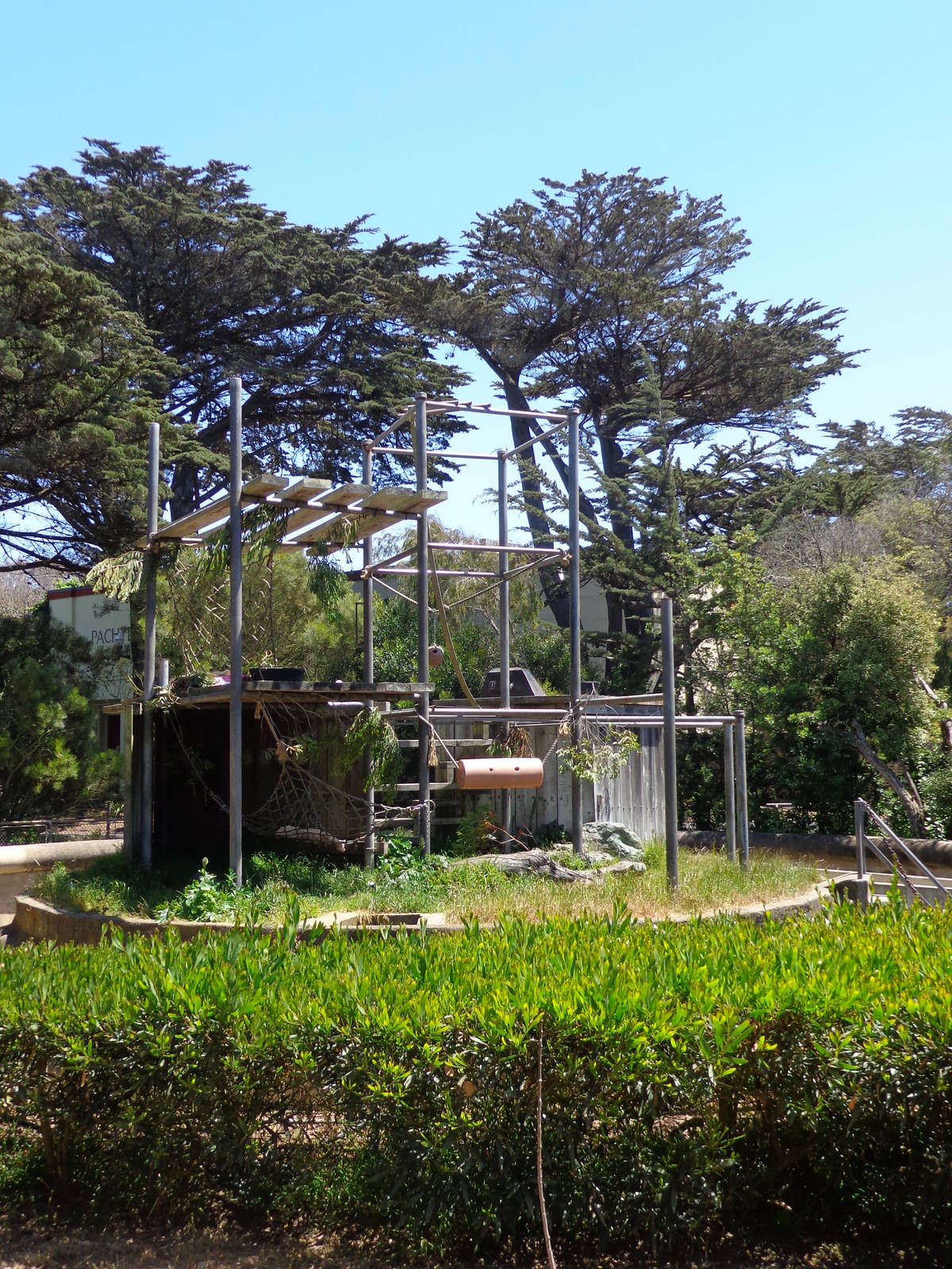 Chimp Island #1 (2013)