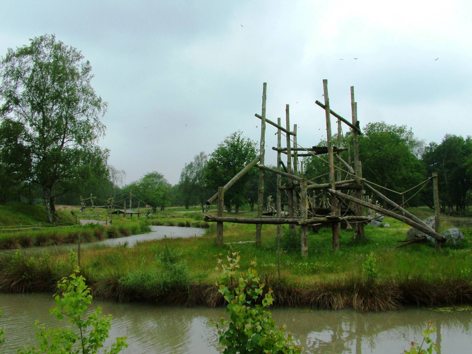 Chimp Island at Beekse Bergen, 31/05/12