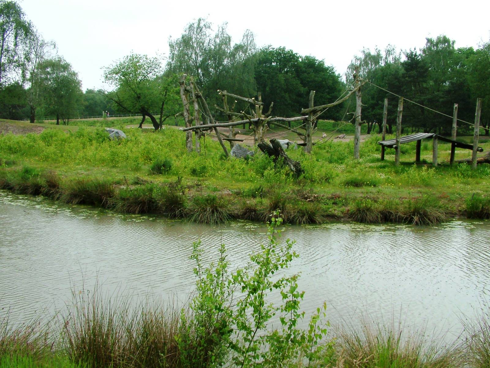 Chimp Island at Beekse Bergen, 31/05/12