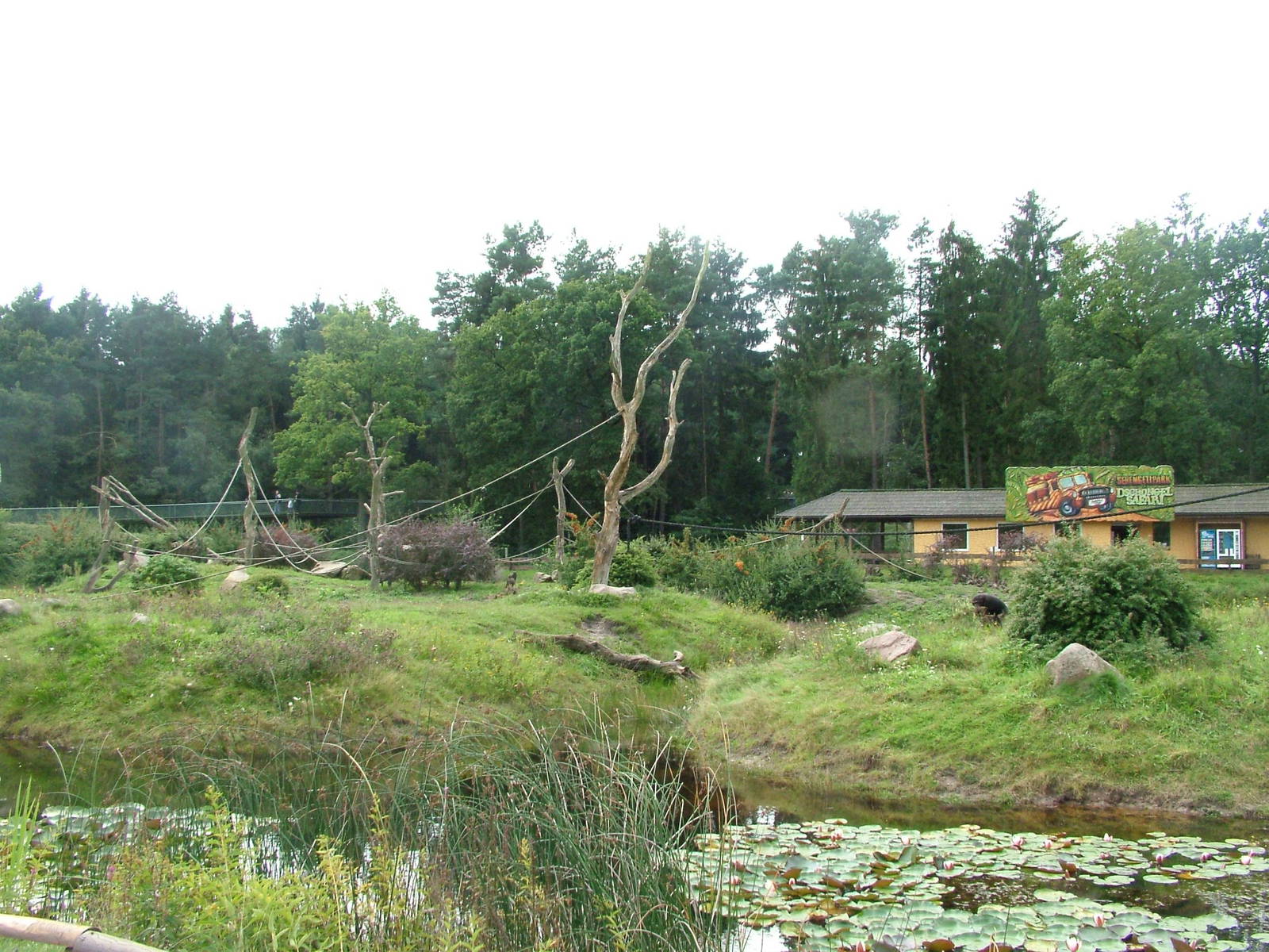Chimp islands at Serengetipark Hodenhagen