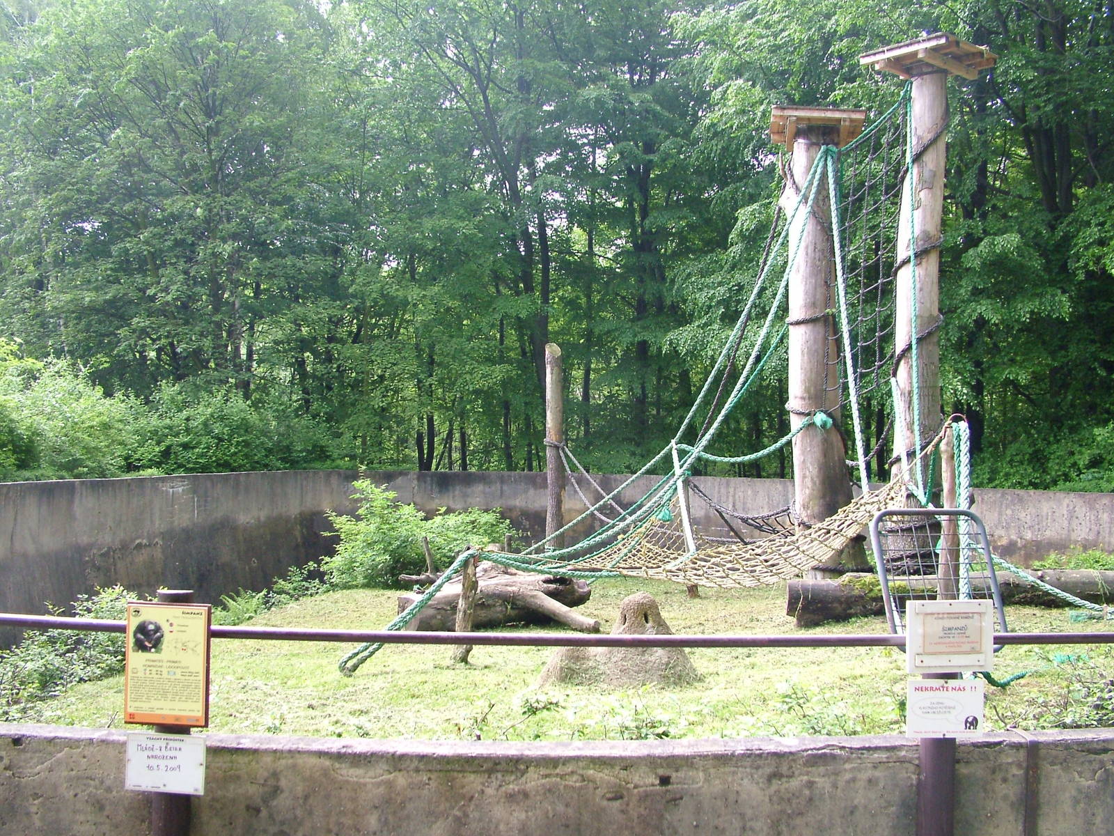 Chimp open-topped exhibit at Ostrava, 29/05/10