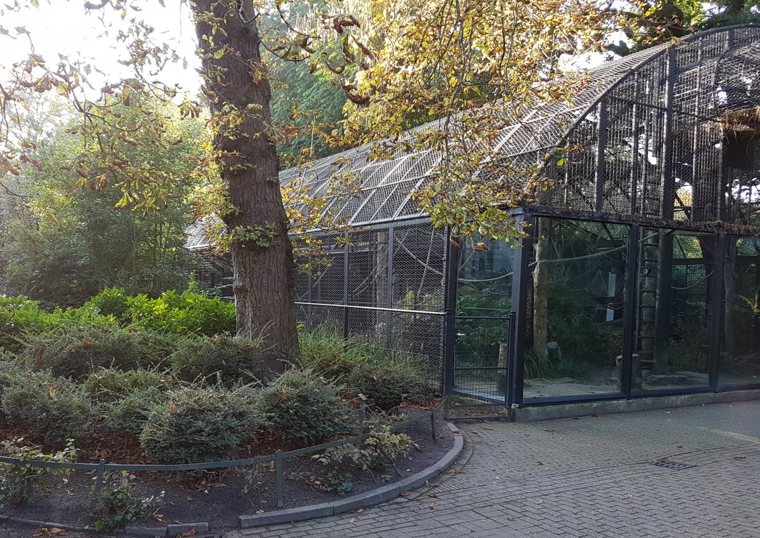 Chimp-out-door-enclosure