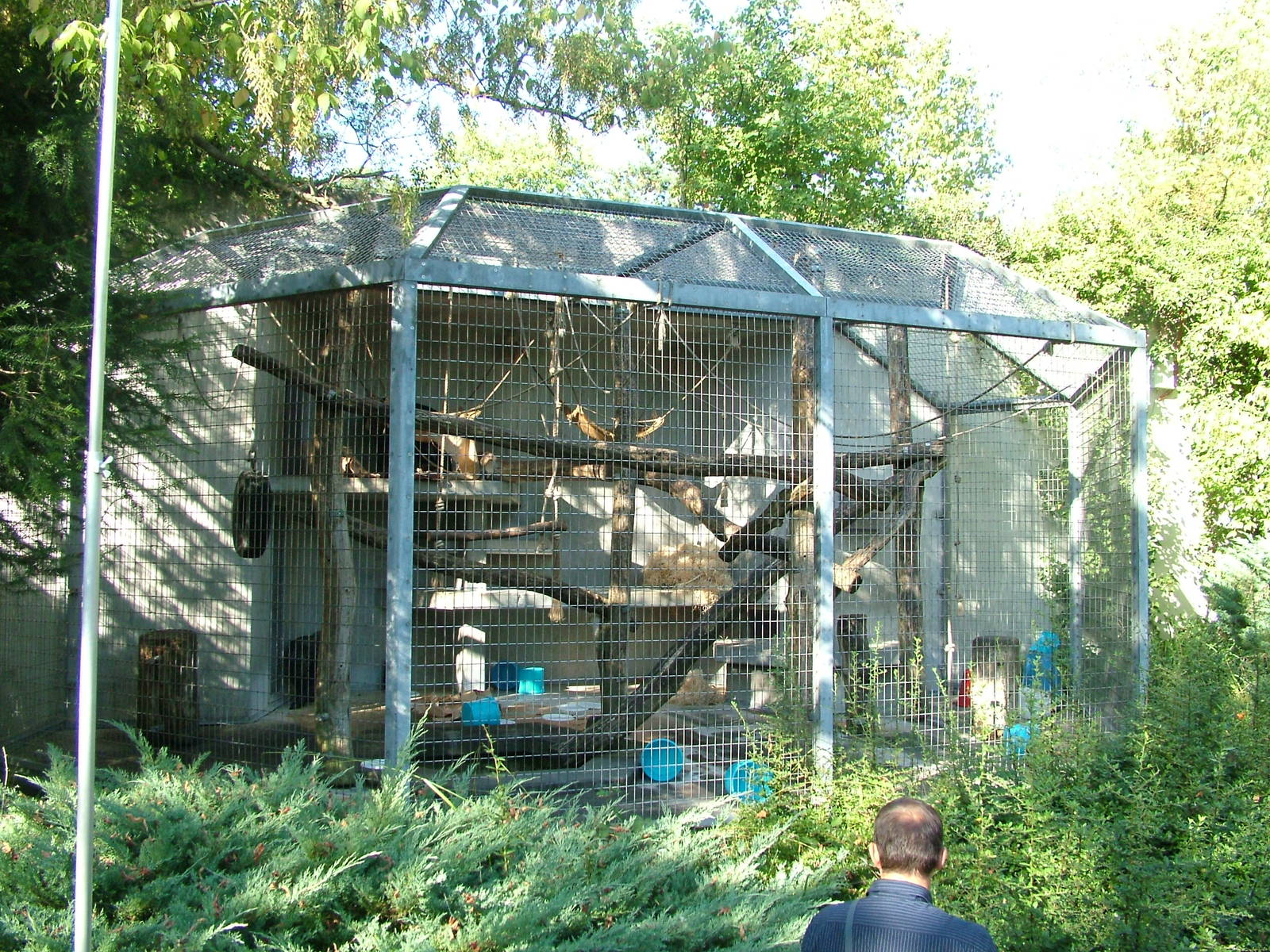 Chimp outdoor enclosure at Basel Zoo 30/08/09