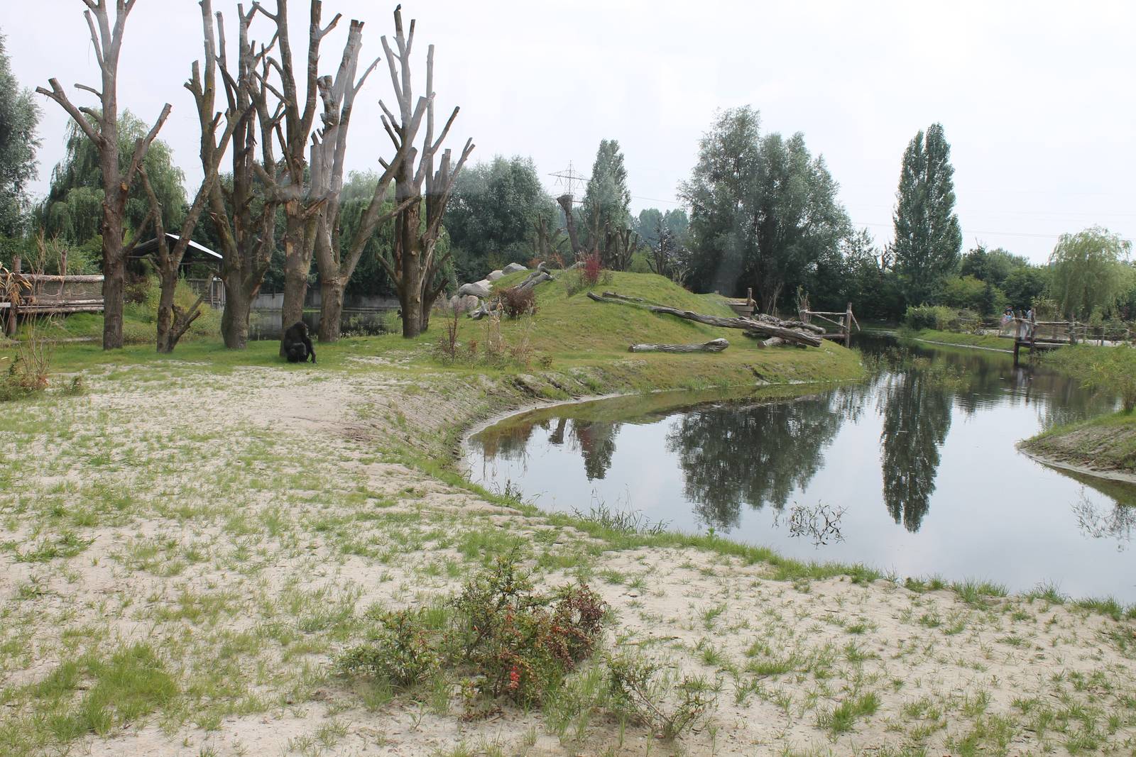 Chimp outdoor enclosure