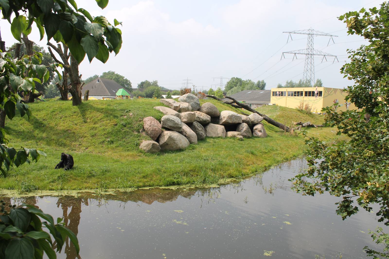 Chimp outdoor enclosure