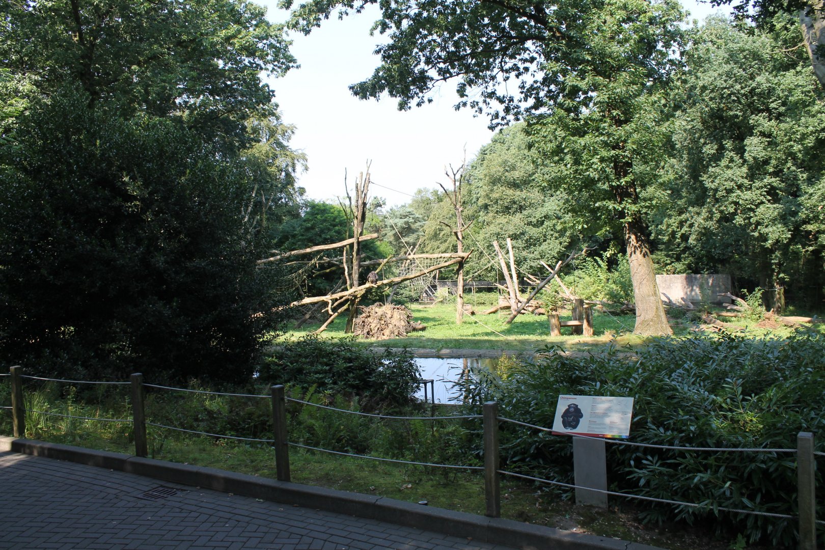 Chimp Outdoor-enclosure