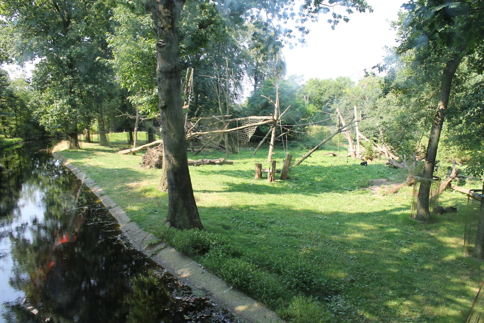 Chimp-outdoor enclosure