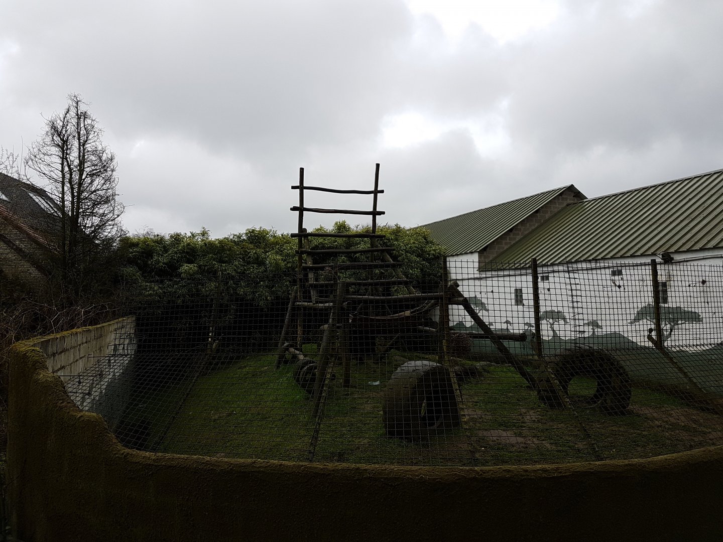 Chimp-outdoor enclosure