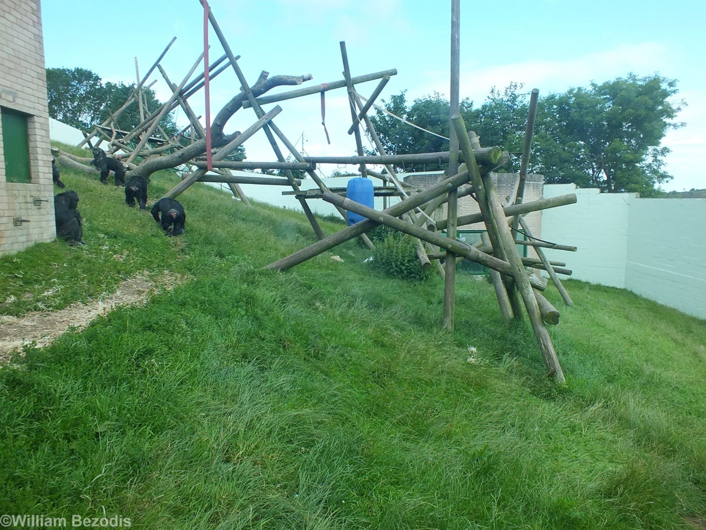 Chimp Outdoor Enclosure