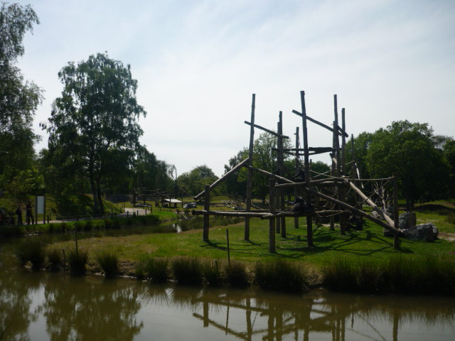 Chimp Outdoor Exhibit