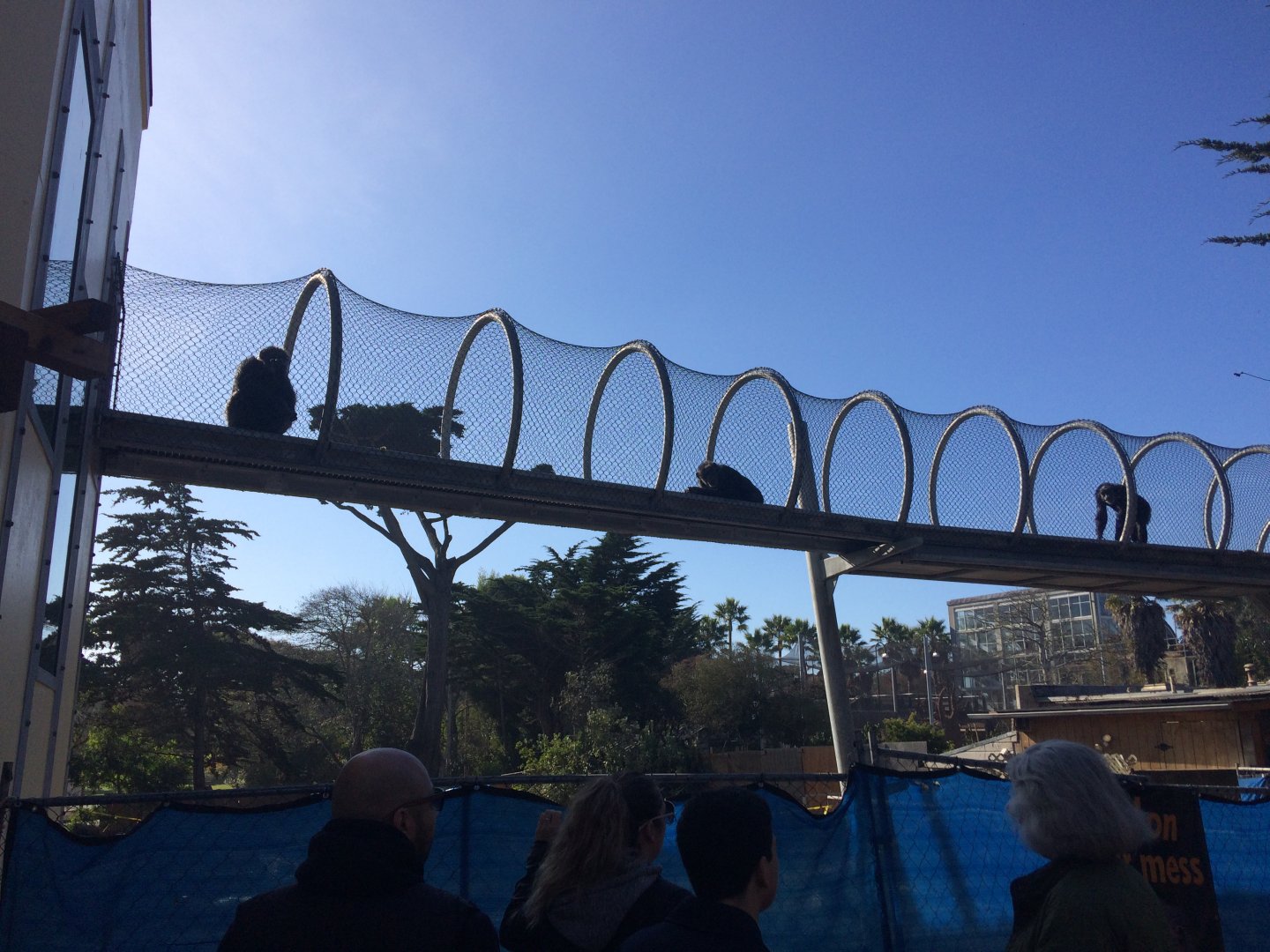 Chimp overhead walkway
