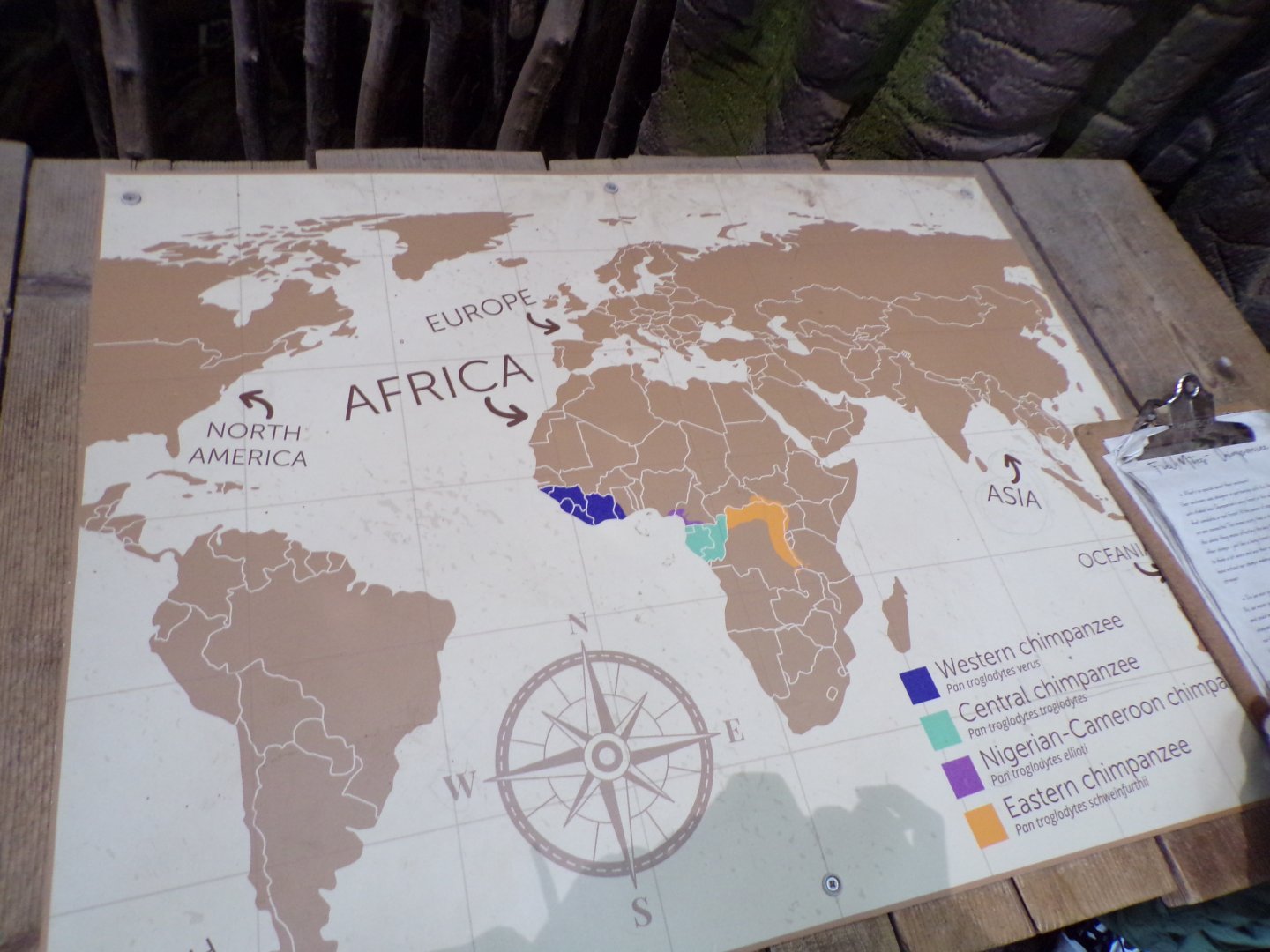 Chimp signage 7.7.24