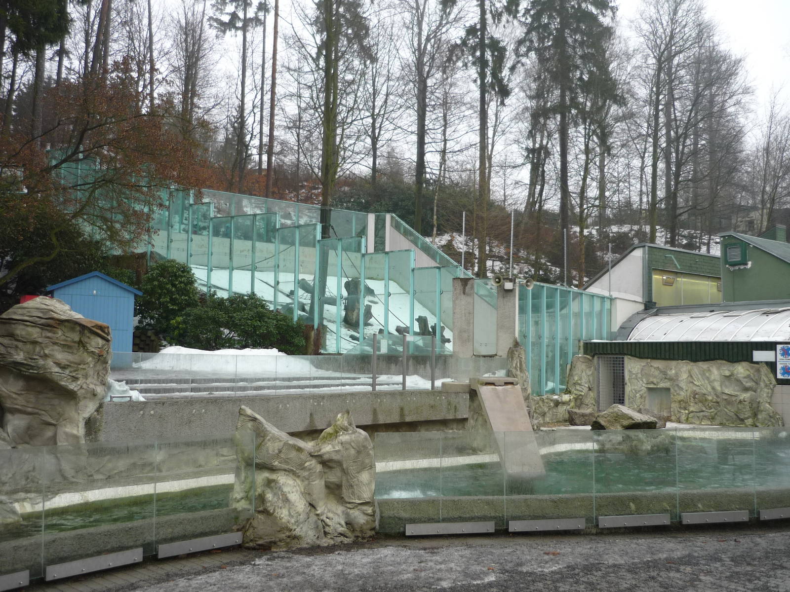 Chimp & South American Sea Lion Outdoor Exhibits