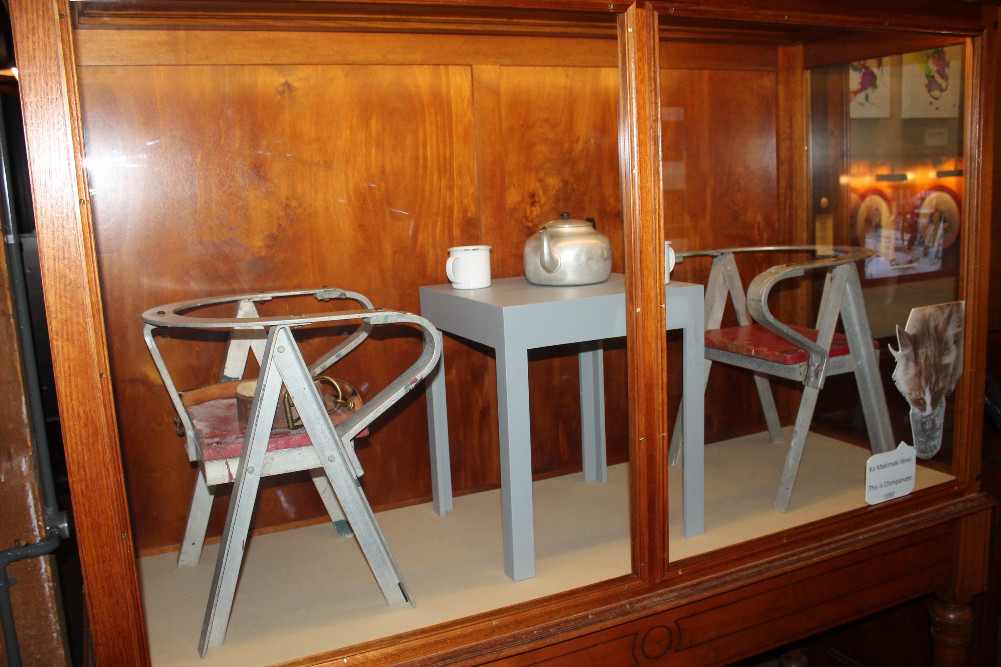 Chimp Tea Party furniture from Wellington Zoo
